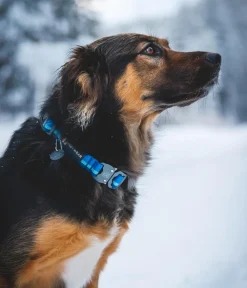 RUFFWEAR® Hundehalsbänder & Geschirre > Hundehaband Top Rope™ it etachnae