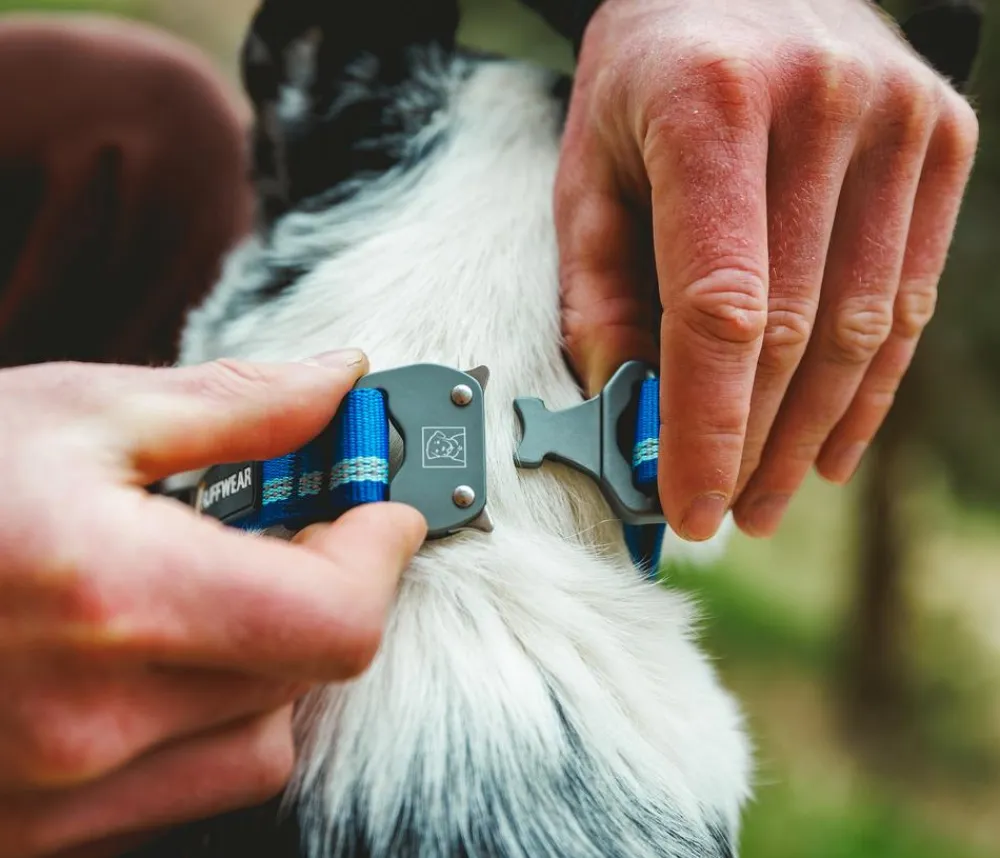 RUFFWEAR® Hundehalsbänder & Geschirre - Hundehaband Top Rope™ it etachnae Blau