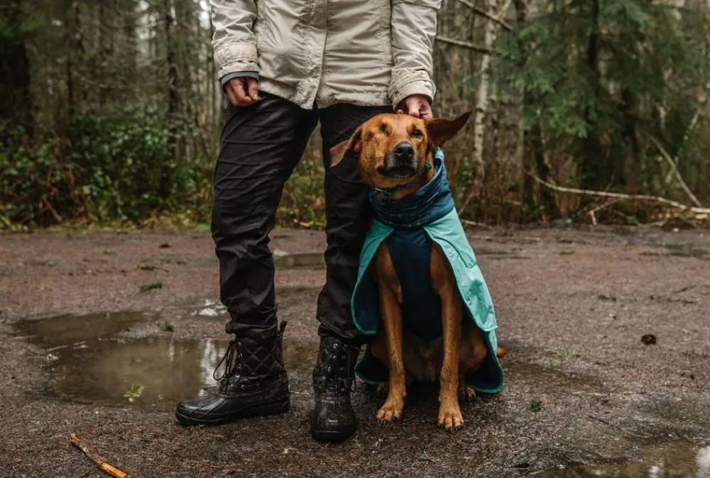 RUFFWEAR® Mehr Hundezubehör|Mehr Transport & Unterwegs - Hunde-Handtuchmantel Dirtbag™ Aurora Teal Türkis