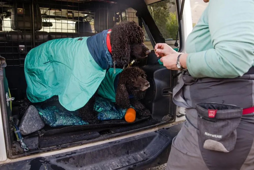 RUFFWEAR® Mehr Hundezubehör|Mehr Transport & Unterwegs - Hunde-Handtuchmantel Dirtbag™ Aurora Teal Türkis