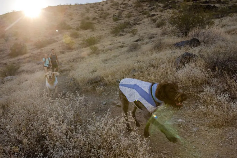 RUFFWEAR® Hunde-Kühwete wap Cooer™ Vet Lavendel Clearance
