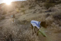 RUFFWEAR® Mehr Hundezubehör|Mehr Transport & Unterwegs - Hunde-Kühwete wap Cooer™ Vet Lavendel