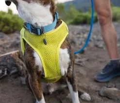 RUFFWEAR® Mehr Transport & Unterwegs|Hundehalsbänder & Geschirre > Hunde-Laufwete Trail Runner™