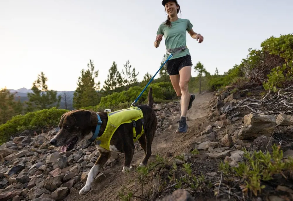 RUFFWEAR® Mehr Transport & Unterwegs|Hundehalsbänder & Geschirre > Hunde-Laufwete Trail Runner™