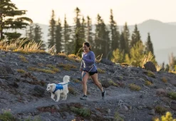 RUFFWEAR® Mehr Transport & Unterwegs|Hundehalsbänder & Geschirre - Hunde-Laufwete Trail Runner™ Blau