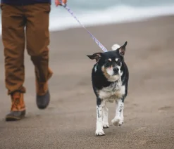 RUFFWEAR® Hundeleine Front Range™, gemustert, 1,5 m Pink Discount