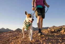 RUFFWEAR® Hundeleinen > Hundeleine Hi & Light™ Leash, 1,4 m