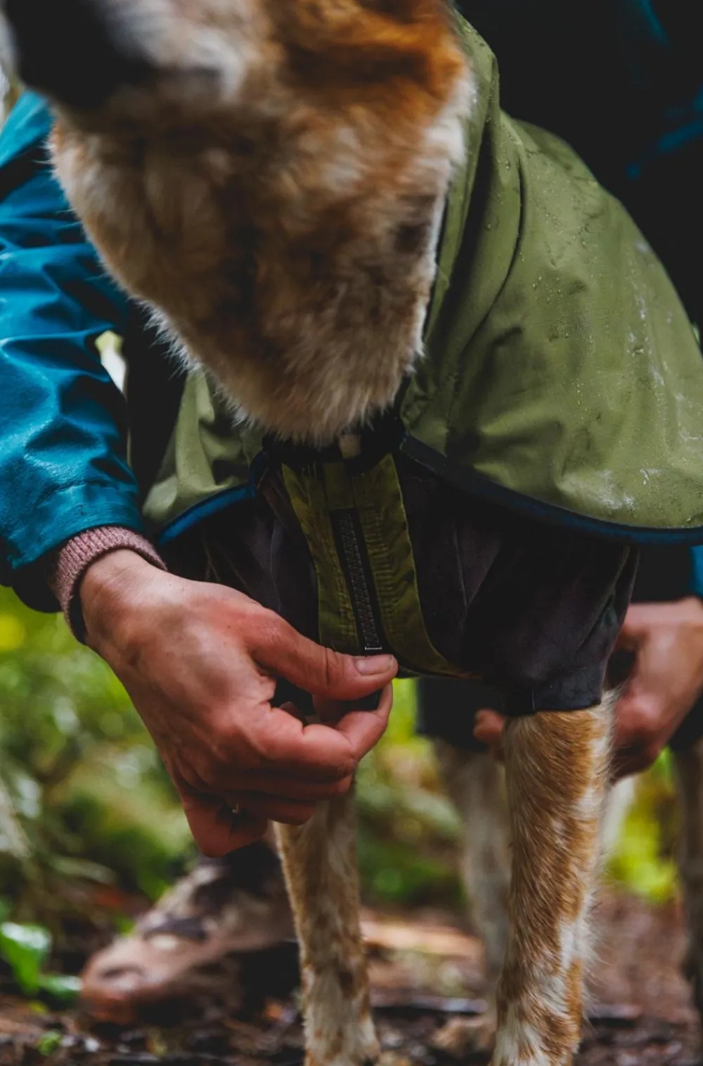 RUFFWEAR® Mehr Hundezubehör > Hunde-Regenanzug un hower™ Covera