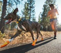 RUFFWEAR® Mehr Hundezubehör > Hundechuhe uit Trex™, 2er et
