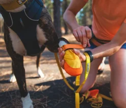 RUFFWEAR® Mehr Hundezubehör > Hundechuhe uit Trex™, 2er et