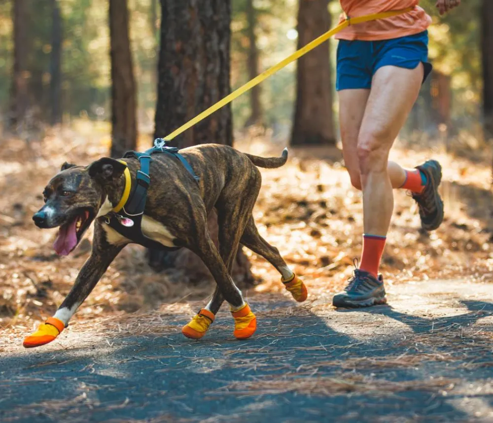 RUFFWEAR® Hundechuhe uit Trex™, 2er et Gelb Online