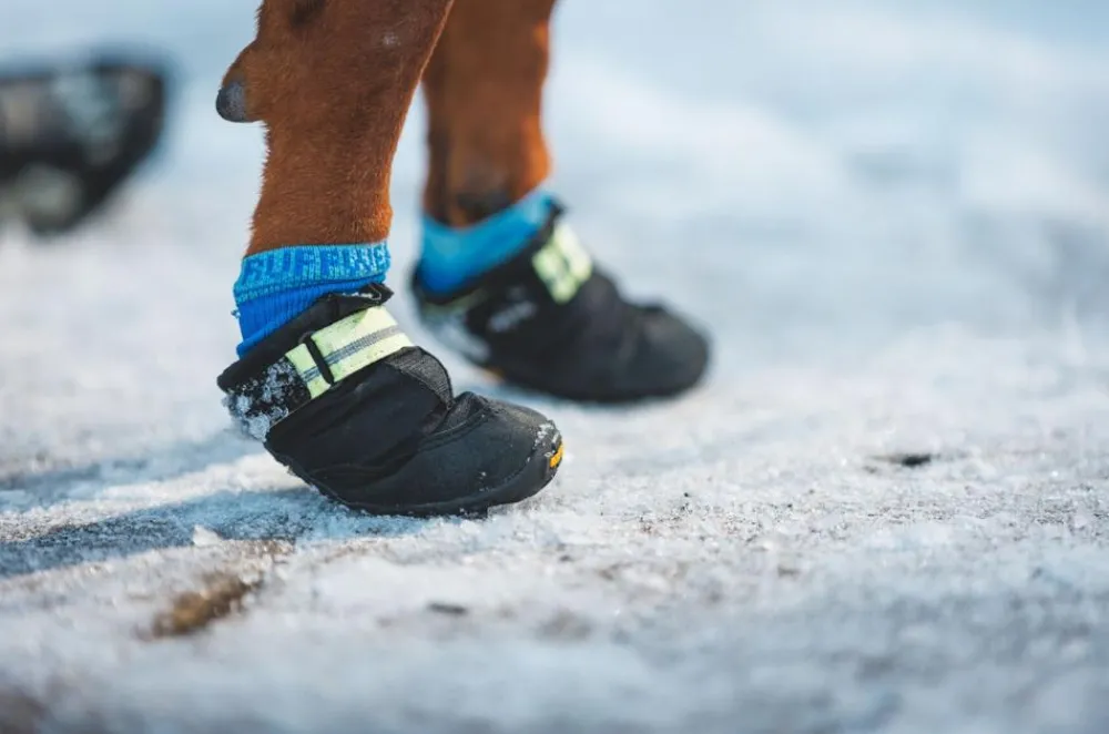RUFFWEAR® Hundechuhe uit Trex™, 2er et Schwarz Clearance