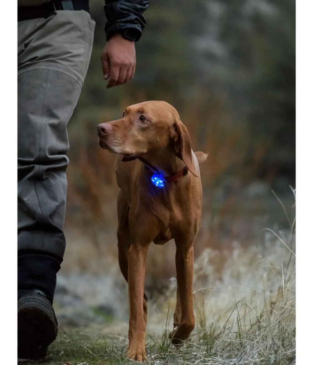 RUFFWEAR® Mehr Transport & Unterwegs - Hunde-Sicherheitsleuchte THE BEACON™