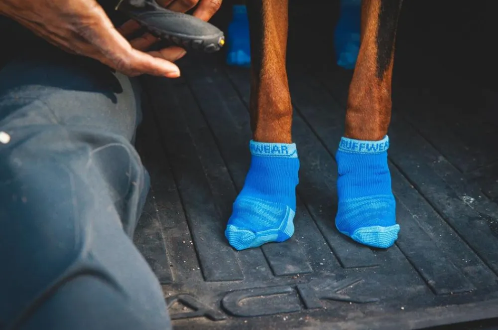 RUFFWEAR® Mehr Hundezubehör > Hundesocken Bark'n Boot™, 4er Set