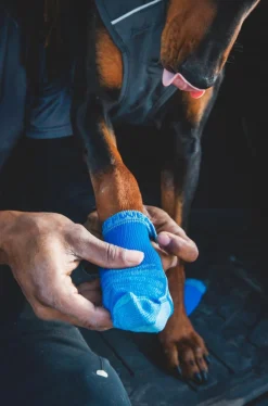 RUFFWEAR® Mehr Hundezubehör - Hundesocken Bark'n Boot™, 4er Set Blau