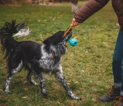 RUFFWEAR® Hundespielzeug > Hundespielzeug Huck-a-Cone™, ca. Ø7,5/T10 cm