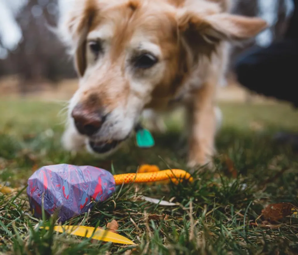 RUFFWEAR® Hundespielzeug - Hundespielzeug Huck-a-Cone™, ca. Ø7,5/T10 cm Lila