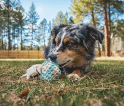 RUFFWEAR® Hundespielzeug > Hundespielzeug Morel™