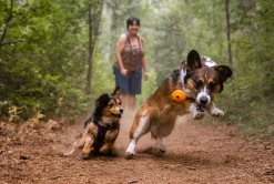 RUFFWEAR® Hundespielzeug > Hundespielzeug TURNUP™, ca. Ø6/H8 cm