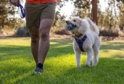 RUFFWEAR® Hundespielzeug TURNUP™, ca. Ø6/H8 cm Lavendel Hot