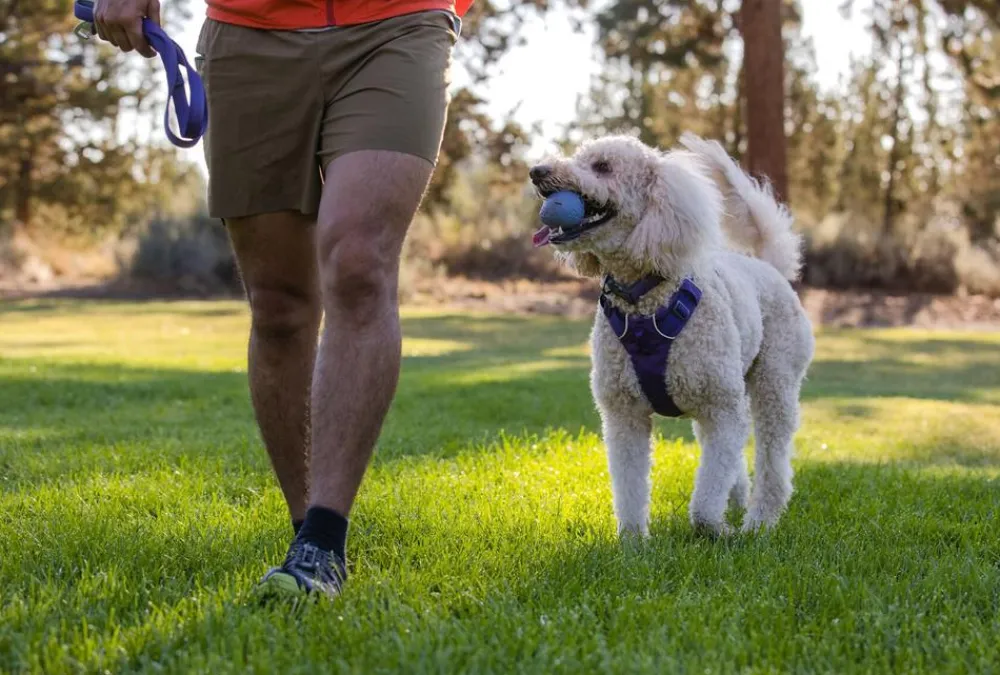 RUFFWEAR® Hundespielzeug TURNUP™, ca. Ø6/H8 cm Lavendel Hot