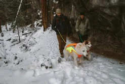 RUFFWEAR® Mehr Hundezubehör|Mehr Transport & Unterwegs > Hundewete uengow™ Hi-Vi