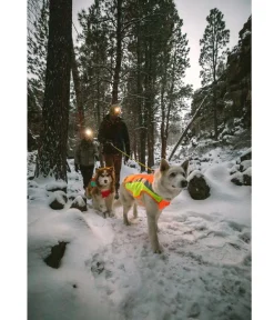 RUFFWEAR® Mehr Hundezubehör|Mehr Transport & Unterwegs > Hundewete uengow™ Hi-Vi