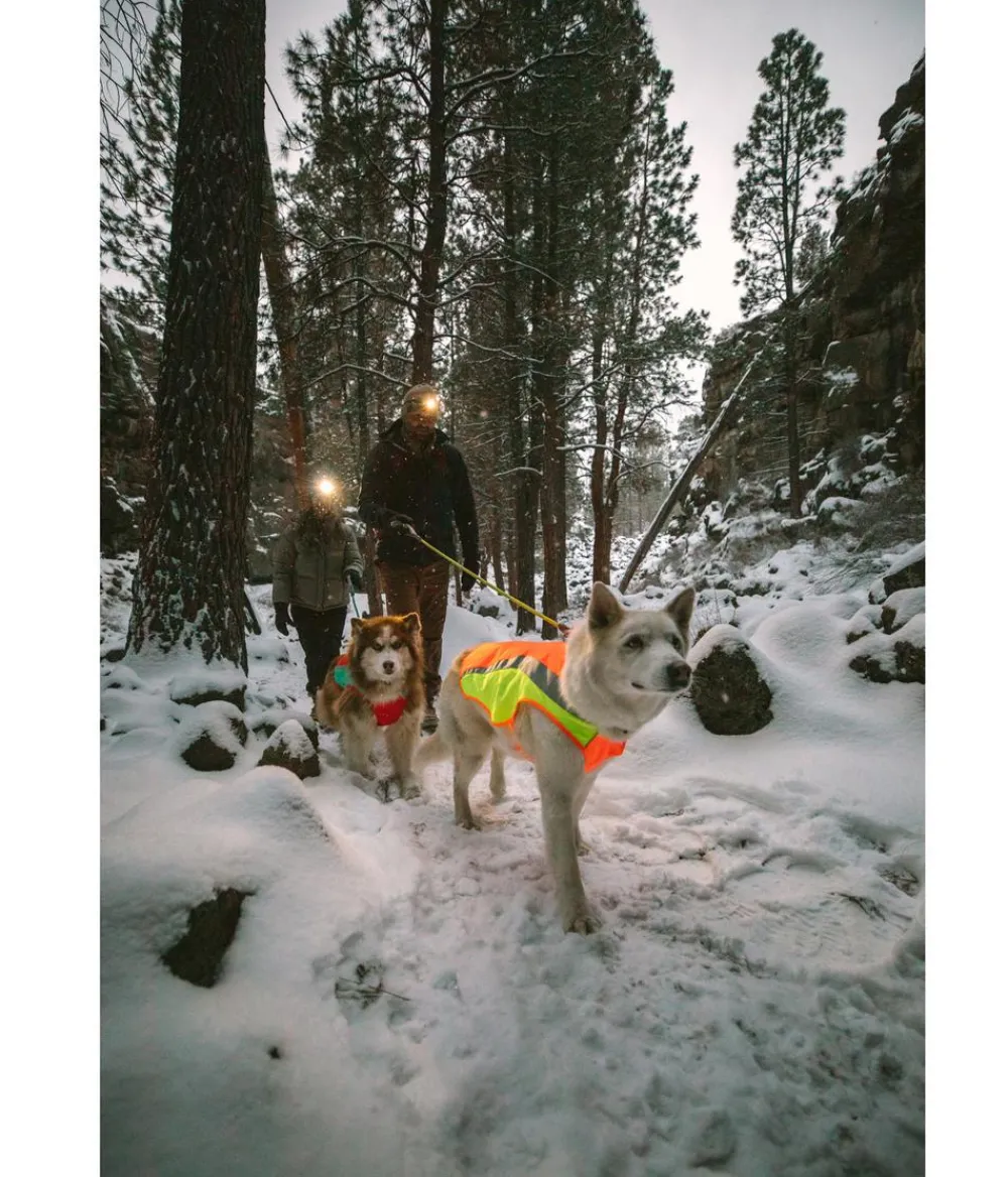 RUFFWEAR® Hundewete uengow™ Hi-Vi Orange Clearance