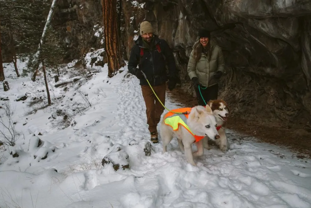 RUFFWEAR® Mehr Hundezubehör|Mehr Transport & Unterwegs - Hundewete uengow™ Hi-Vi Orange