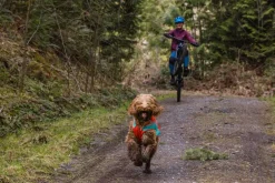 RUFFWEAR® Mehr Hundezubehör|Mehr Transport & Unterwegs - Hundewete uengow™ Hi-Vi Rot