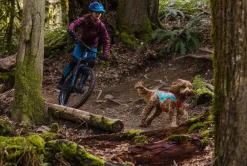 RUFFWEAR® Mehr Hundezubehör|Mehr Transport & Unterwegs - Hundewete uengow™ Hi-Vi Rot