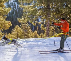RUFFWEAR® Mehr Transport & Unterwegs|Hundehalsbänder & Geschirre - Joring yte Onijore™ Lemon