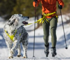RUFFWEAR® Mehr Transport & Unterwegs|Hundehalsbänder & Geschirre - Joring yte Onijore™ Lemon