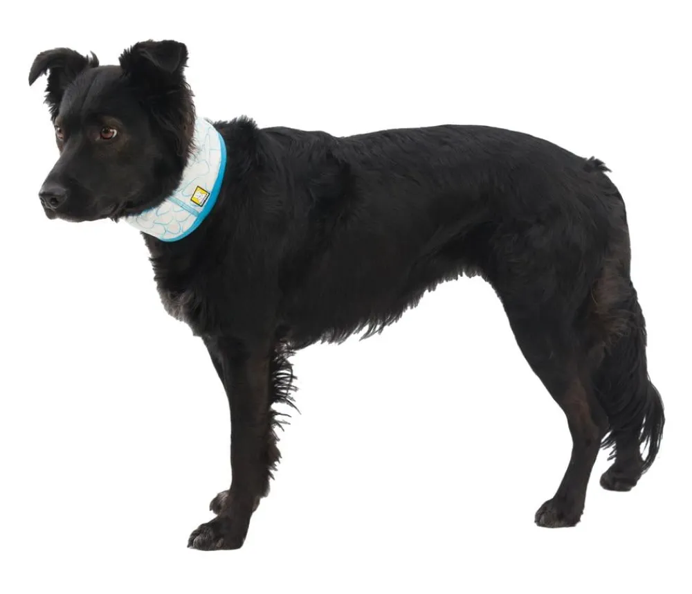 RUFFWEAR® Mehr Hundezubehör|Mehr Transport & Unterwegs > kühlendes Hundehalstuch Swamp Cooler™