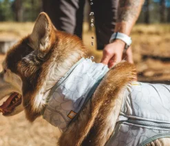 RUFFWEAR® Mehr Hundezubehör|Mehr Transport & Unterwegs - kühlendes Hundehalstuch Swamp Cooler™ Hellblau