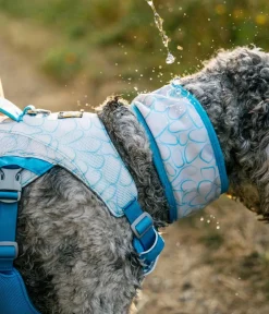 RUFFWEAR® Mehr Hundezubehör|Mehr Transport & Unterwegs - kühlendes Hundehalstuch Swamp Cooler™
