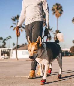 RUFFWEAR® Mehr Hundezubehör|Hundepflege & Hygiene > Pfotenchutzchuh Grip Trex™, 2er et