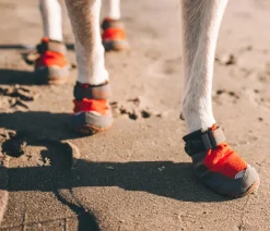RUFFWEAR® Mehr Hundezubehör|Hundepflege & Hygiene > Pfotenchutzchuh Grip Trex™, 2er et