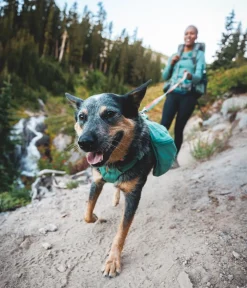 RUFFWEAR® Hundehalsbänder & Geschirre > Tageruckack Front Range™