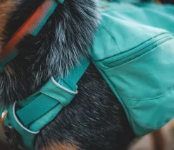 RUFFWEAR® Tageruckack Front Range™ Grün New