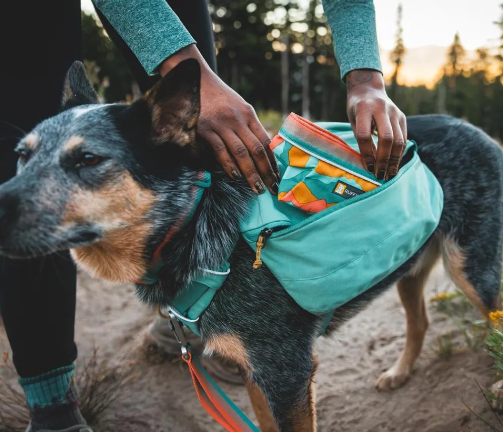 RUFFWEAR® Tageruckack Front Range™ Grün New