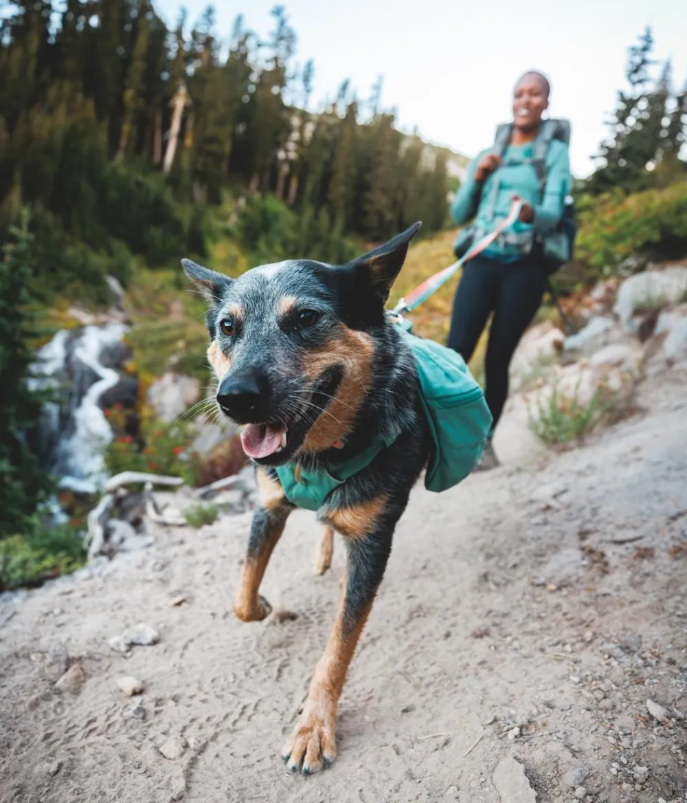 RUFFWEAR® Hundehalsbänder & Geschirre - Tageruckack Front Range™ Grün