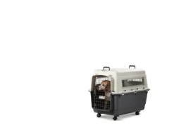 Savic Hundetransportboxen - Reisebox Andes inkl. Rollen, , ca. B100/H80/T67 cm