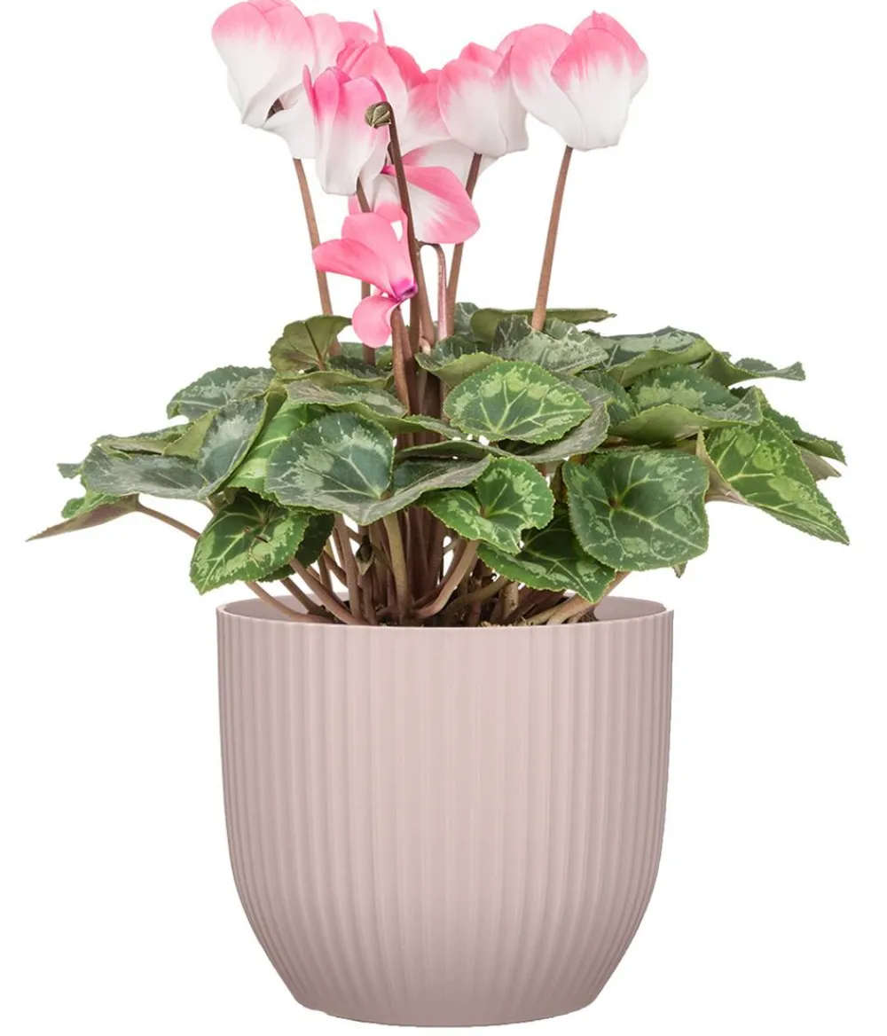 Scheurich Kunststoff-Übertopf Lissy, konisch Rosa