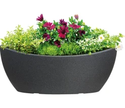 Scheurich Pflanzkübel & Blumenkästen - Kunststoff-Jardiniere Wave Globe, oval, ca. B58/H23/T24 cm Schwarz