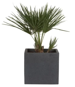 Scheurich Kunststoff-Topf C-Cube, quadratisch Schwarz Outlet