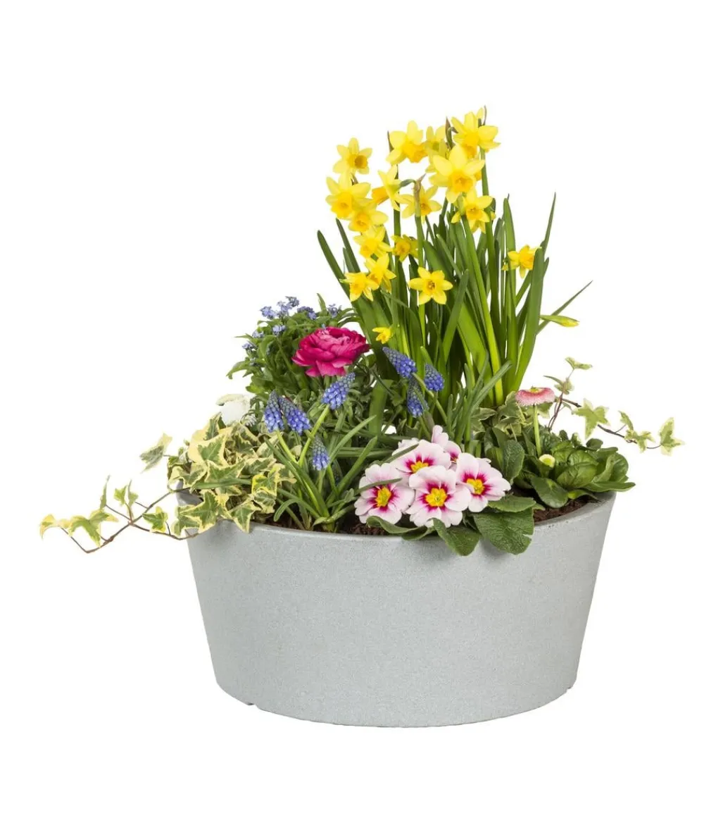Scheurich Blumentöpfe & Übertöpfe > Kunststoff-Topf C-Cone Bowl, rund, ca. Ø38,9/H17,5 cm
