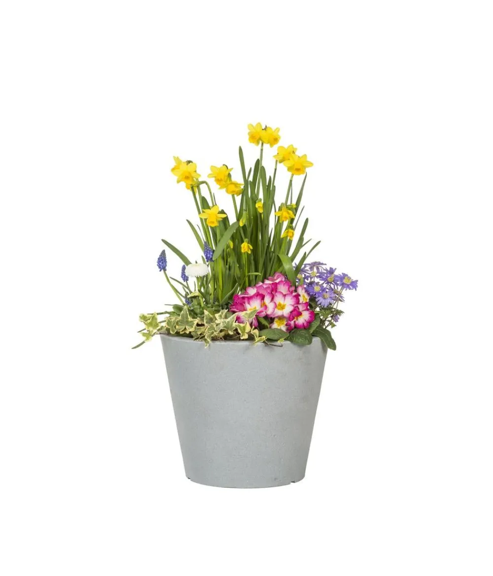 Scheurich Blumentöpfe & Übertöpfe > Kunststoff-Topf C-Cone, rund