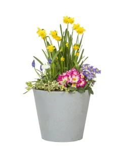 Scheurich Kunststoff-Topf C-Cone, rund Grau Best