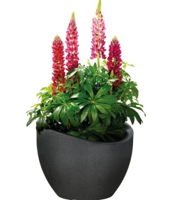 Scheurich Blumentöpfe & Übertöpfe > Kunststoff-Topf Wave Globe, rund, ca. Ø60/H44,7 cm